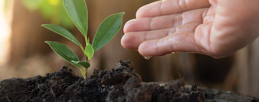 Fall Composting… Going Deeper!