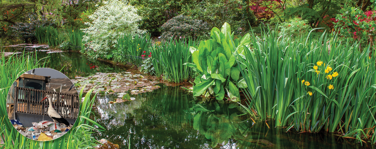 Composting A Little Food & Garden Waste Goes a Long Way