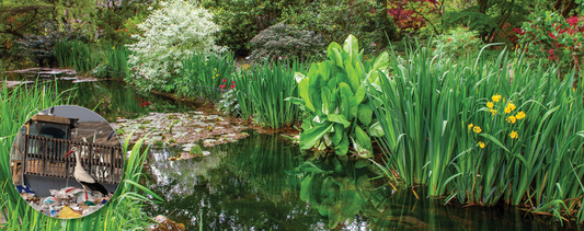 Composting A Little Food & Garden Waste Goes a Long Way