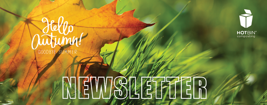 HOTBIN Hello Autumn NEWSLETTER