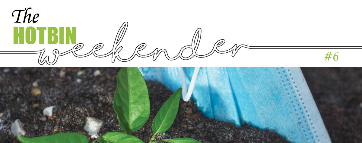 The HOTBIN Weekender #6