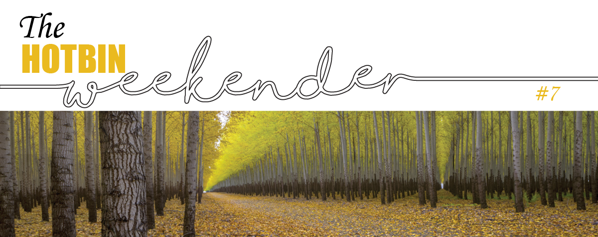 The HOTBIN Weekender #07