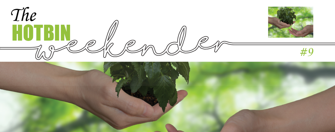 The HOTBIN Weekender #9