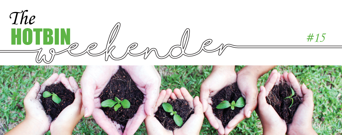 The HOTBIN Weekender #15