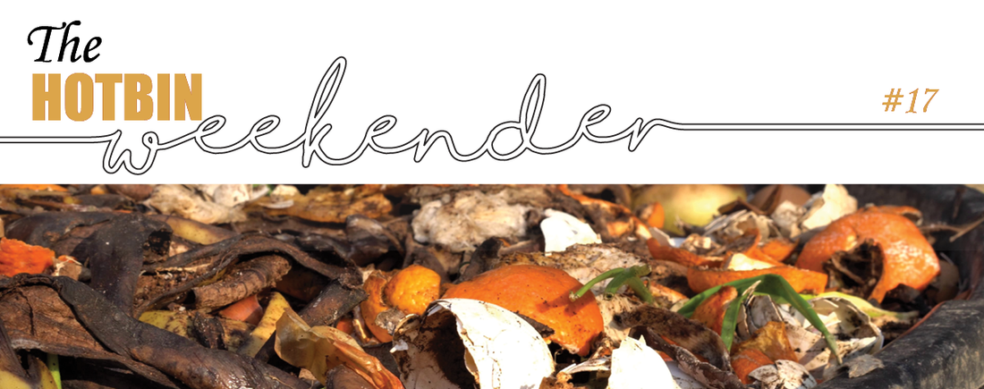 The HOTBIN Weekender #19