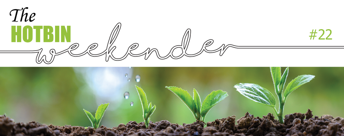The HOTBIN Weekender #22