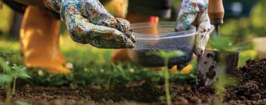 It's Fall…Time to Assess and Improve the Quality of your Soil