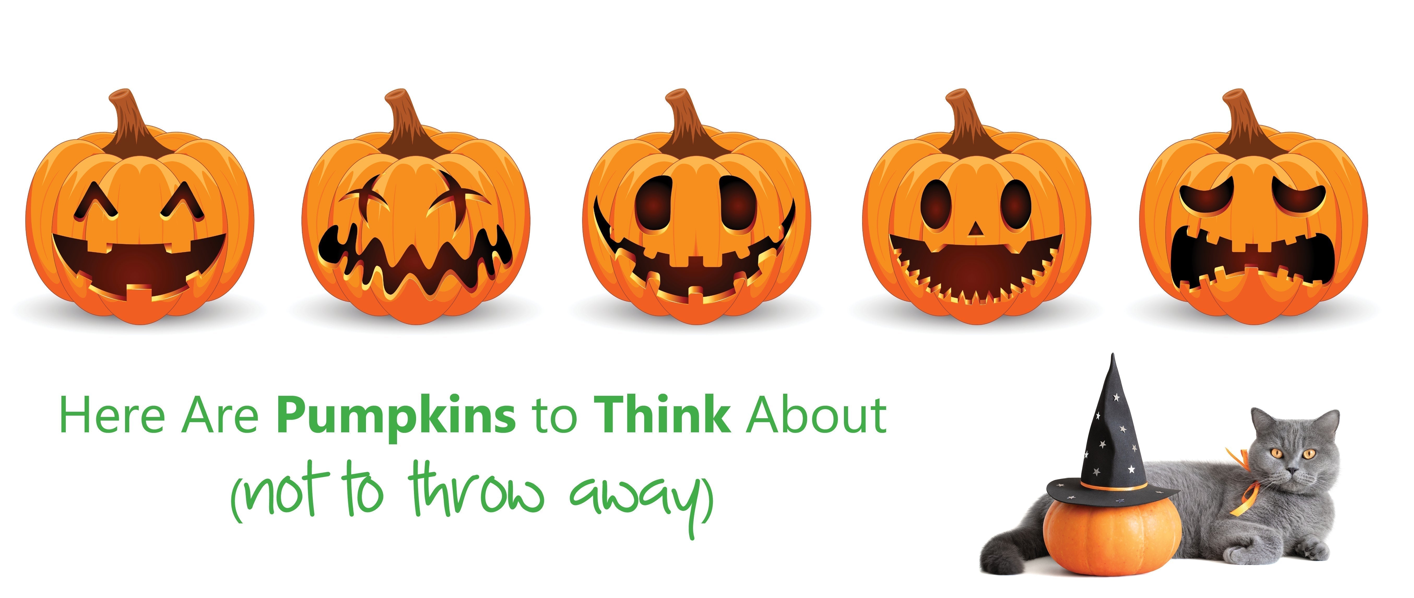 Don’t Let Your Pumpkin Go to Waste, Compost It Instead!