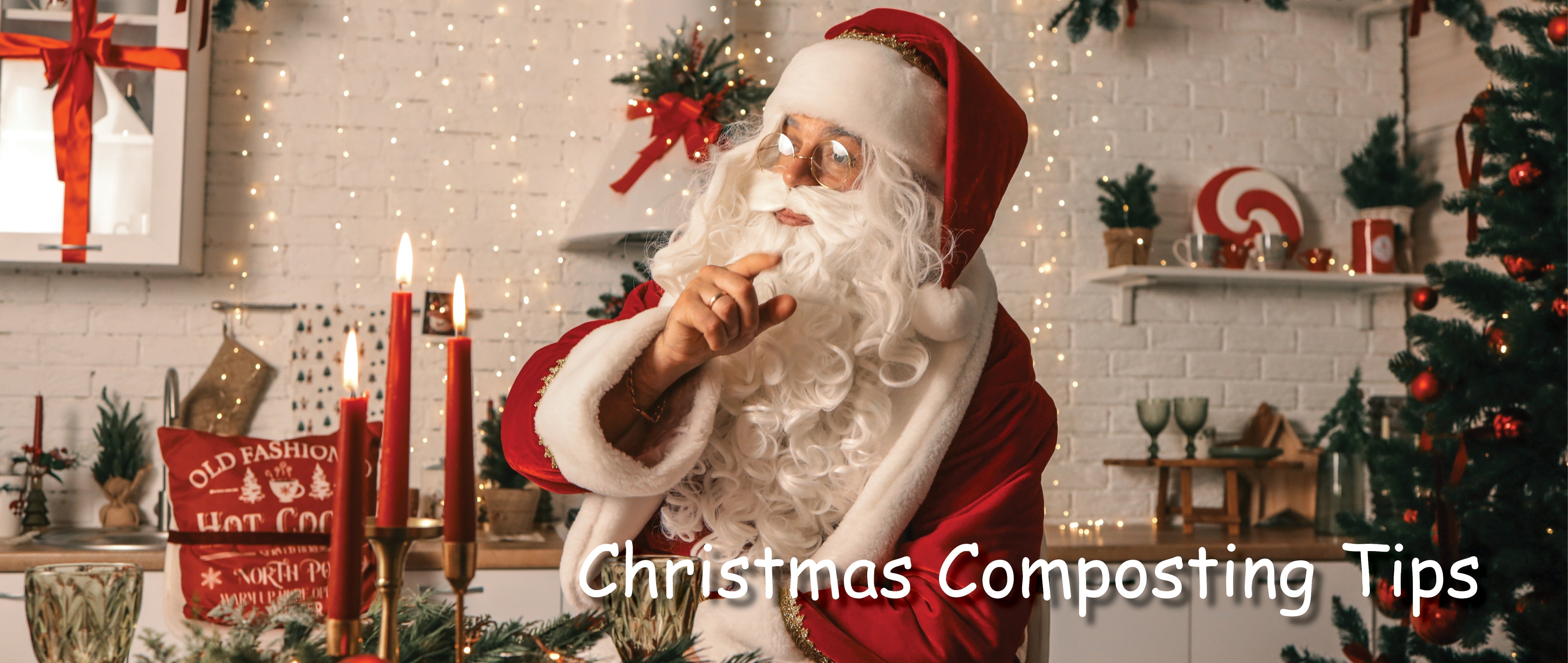 The Christmas Composting Tips Countdown