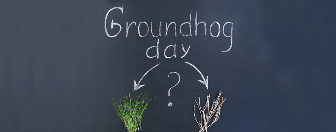 hotbin_groundhogday