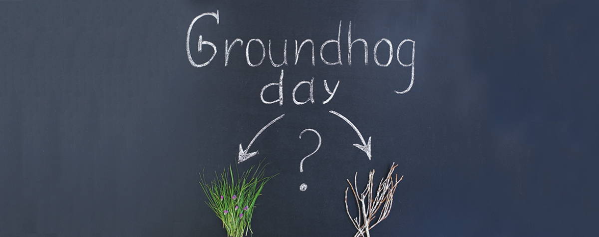 hotbin_groundhogday