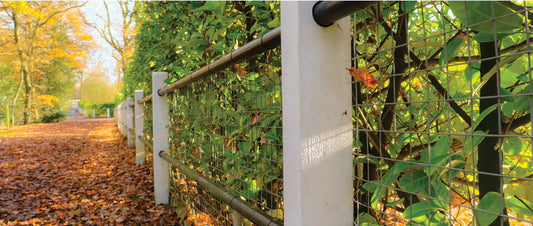Fall into Composting with HOTBIN