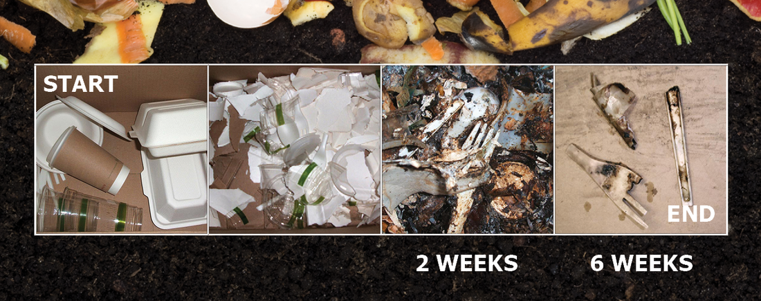 HOTBIN: Biodegradable Food Packaging Composted in Under 30 Days