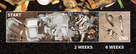 HOTBIN: Biodegradable Food Packaging Composted in Under 30 Days