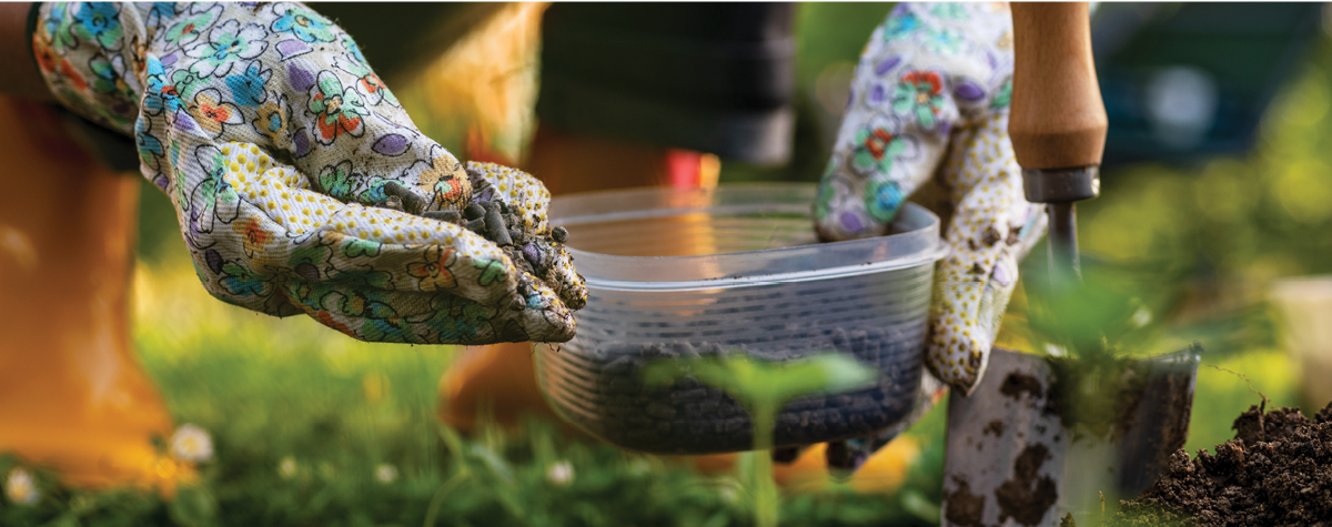 Fall Composting: Essential for Soil Nutrient Replenishment