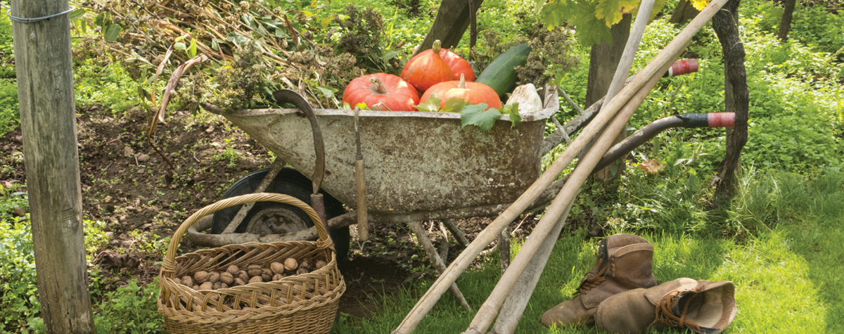 Get Ready for Fall: The Prime Time to Start Composting