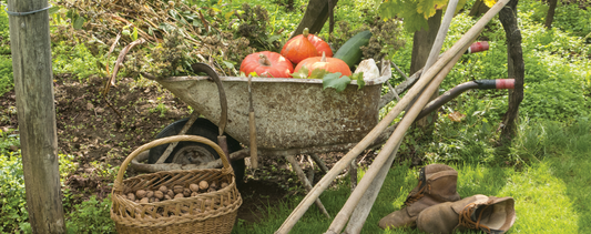 Get Ready for Fall: The Prime Time to Start Composting