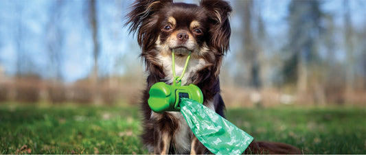 Can I Compost Poo?