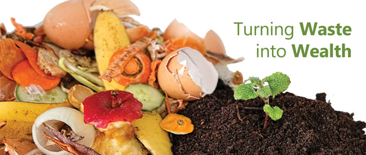 Turning Waste into Wealth