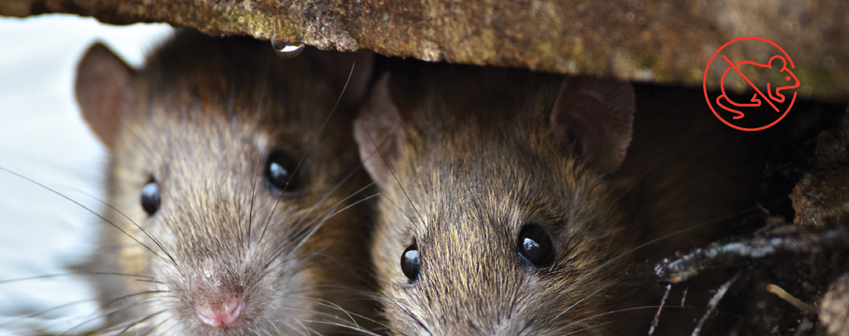 No Way José...with HOTBIN!