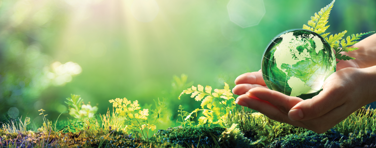 Imagine… your waste can change the world!