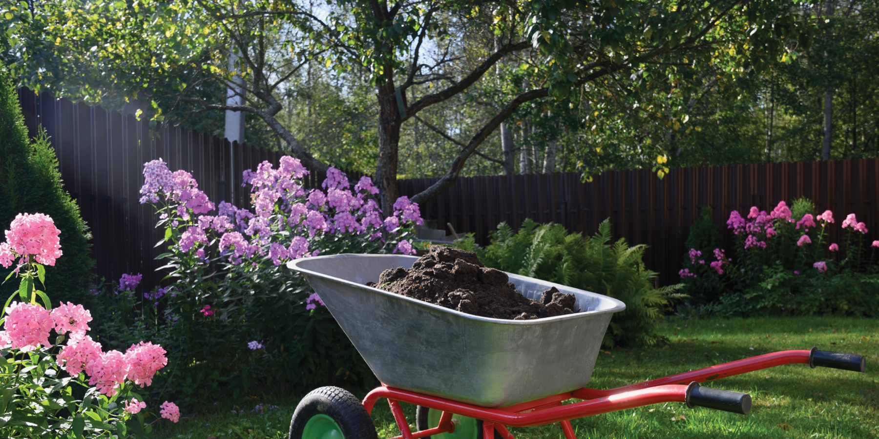 Give Your Garden a Summer Boost with Compost!