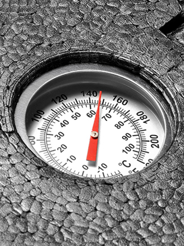 Thermometer