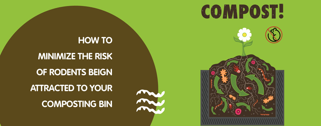 5 Tips for Preventing Rodents and Vermin Being Attracted to Your Composting Bin