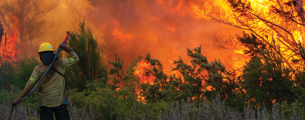 Is Compost Effective in Holding Soils Burned by Wildfires?