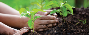 Composting is Just Nature’s Way of Recycling