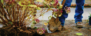 Fall... a Good Season for Composting