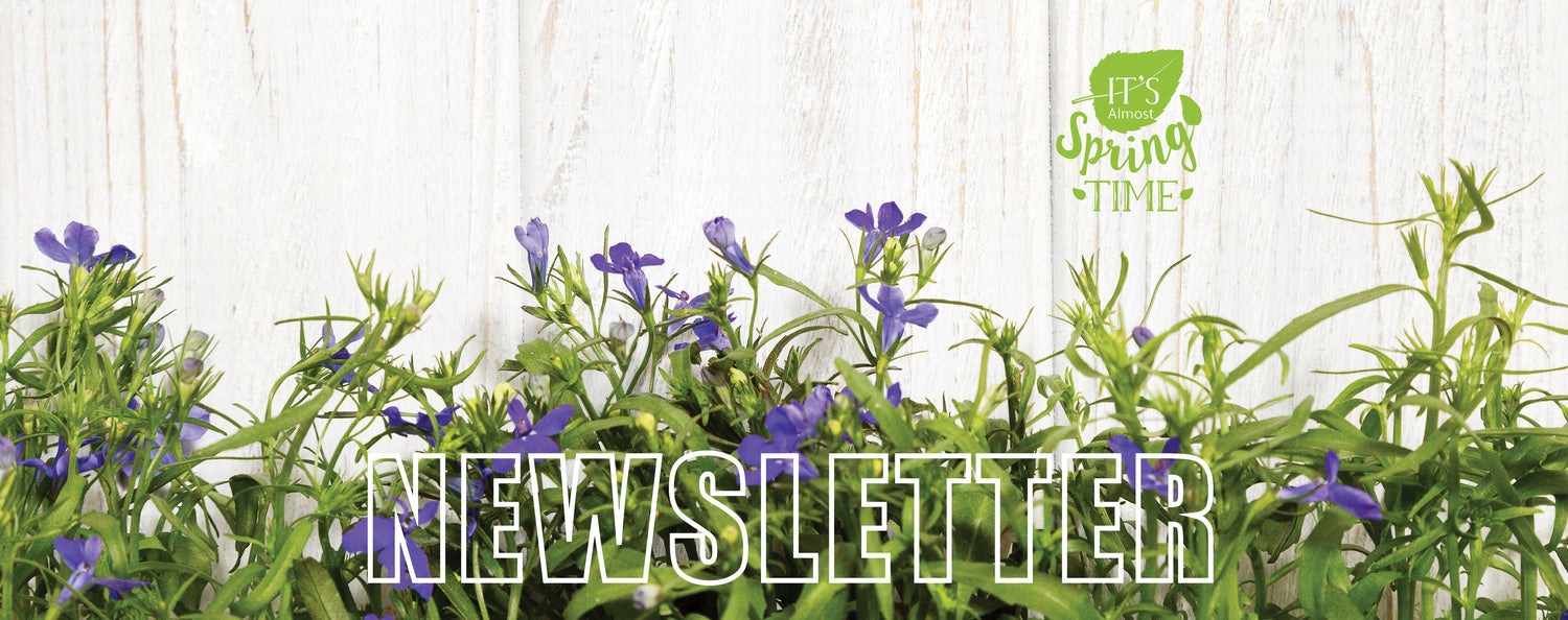 HOTBIN Composting NEWSLETTER is OUT!