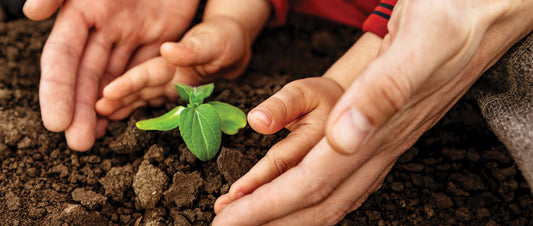 Why a HOTBIN Composter Makes the Perfect Gift for Dad