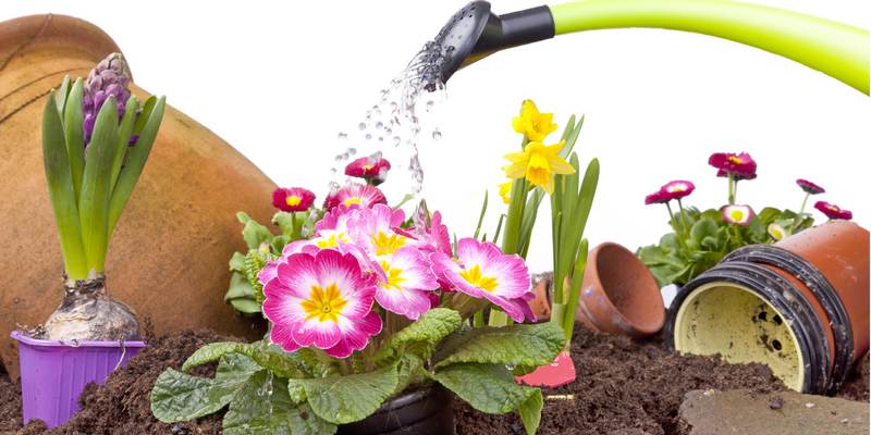 Spring Composting: Fuels Your Garden