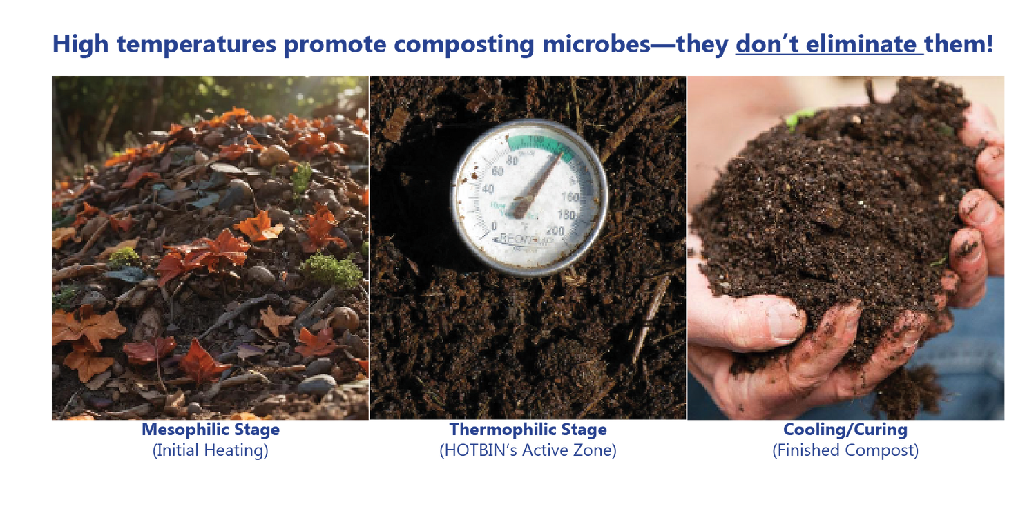 Does Hot Composting Kill Beneficial Bacteria? The HOTBIN Myth Explained
