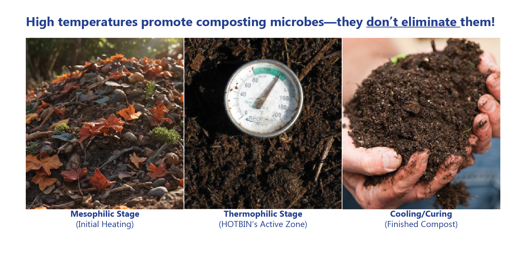 Does Hot Composting Kill Beneficial Bacteria? The HOTBIN Myth Explained