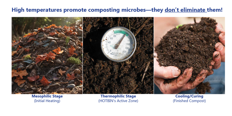 Does Hot Composting Kill Beneficial Bacteria? The HOTBIN Myth Explained