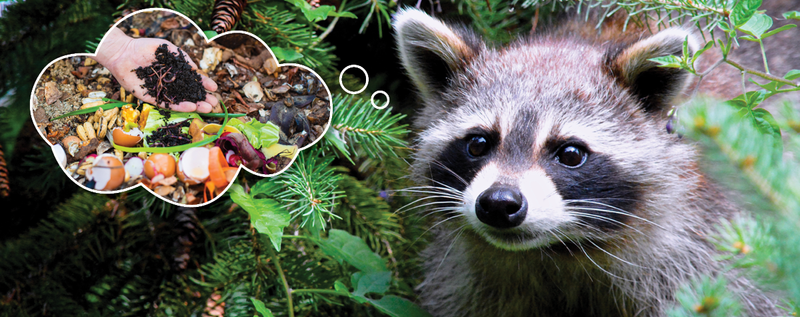 How to Minimize the Risk of Animal Visits