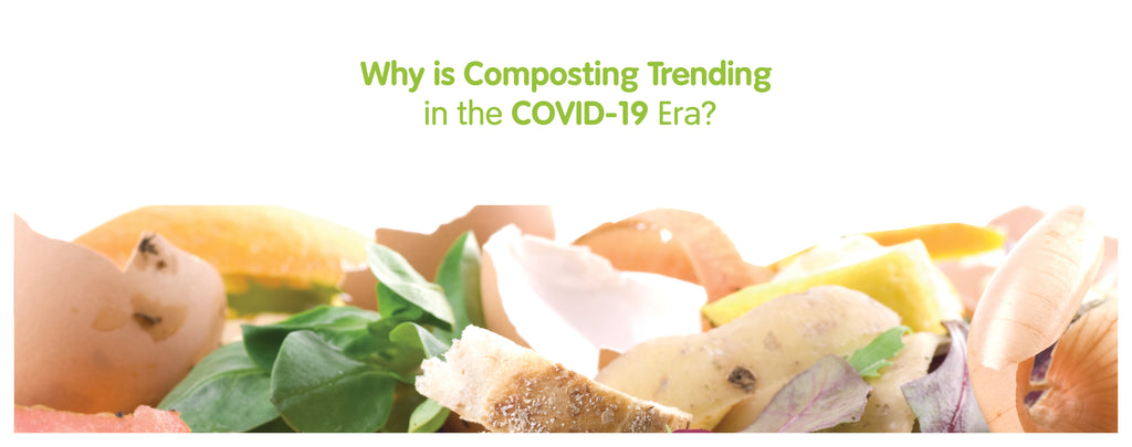 Why is Composting Trending?