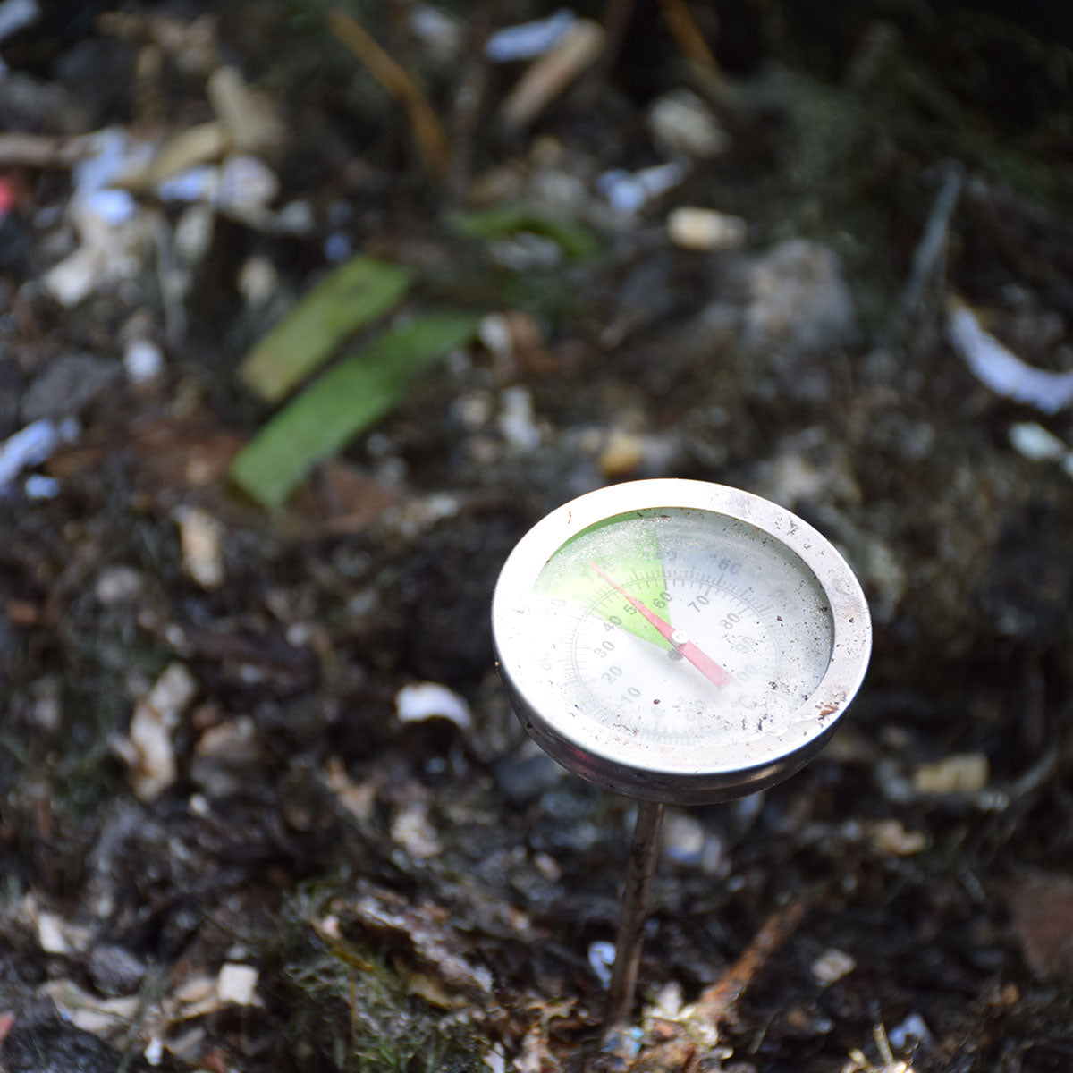 Can I start composting in the winter?