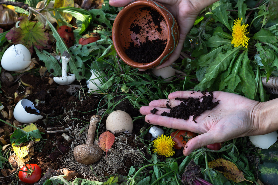 Thinking About Composting? Here’s What People Don’t Tell You