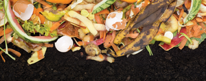 Can the HOTBIN Compost Just Food Waste?