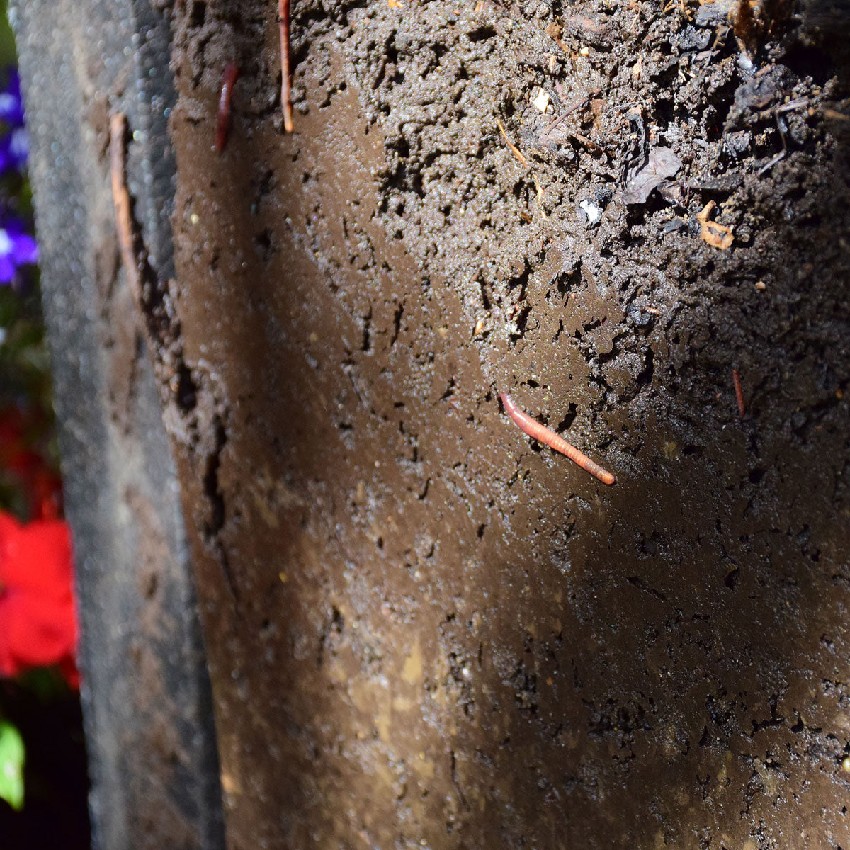 My compost is too wet, what can I do?