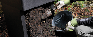 Harvesting Compost with HOTBIN