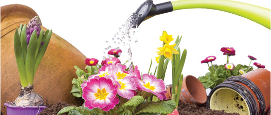 Hop into Composting This Easter with HOTBIN