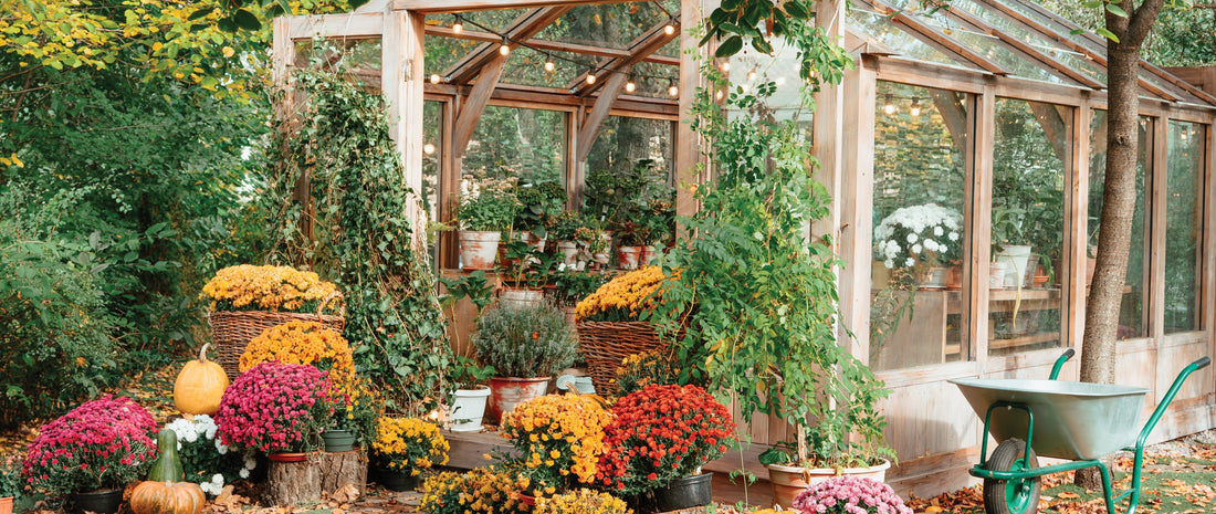 Turning Autumn’s Waste into Next Season’s Wealth!