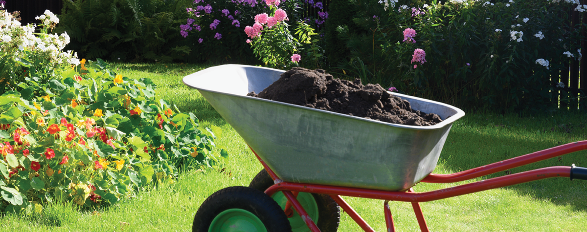 Why should we start composting or make it this year’s resolution ...