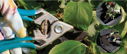 Late Summer: Perfect Time to Start Composting