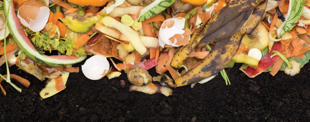 Home Composting Impacts More Than You Think