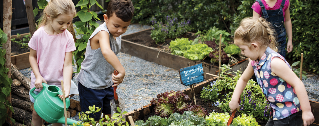 Composting at School Deepens Students' Connection with Nature